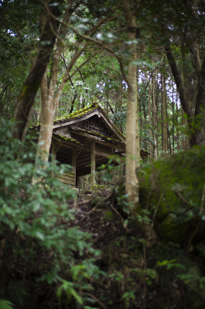 緑林荘