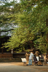 上野の美大生