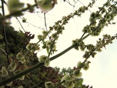今につながって
