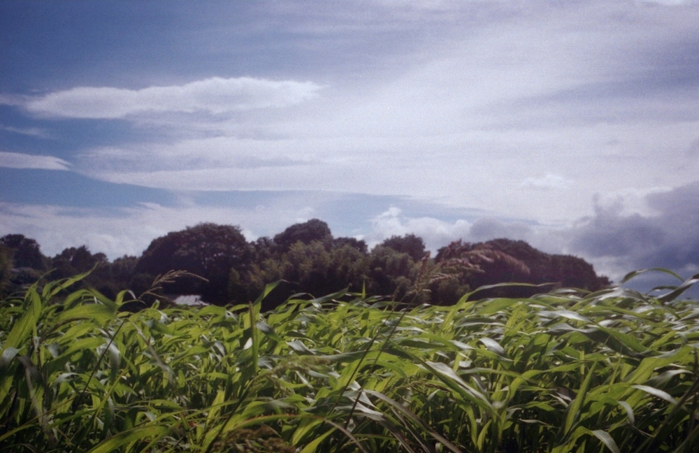 夏空