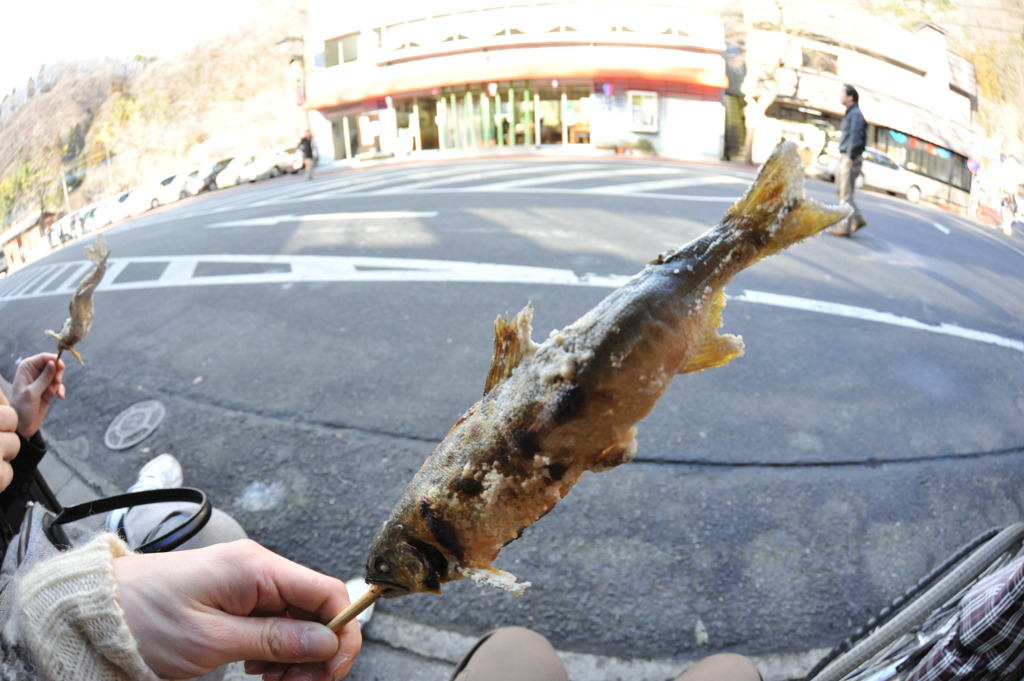 アユの塩焼きと手タレの手