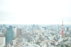 東京フラワー