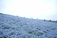 地平線まで青