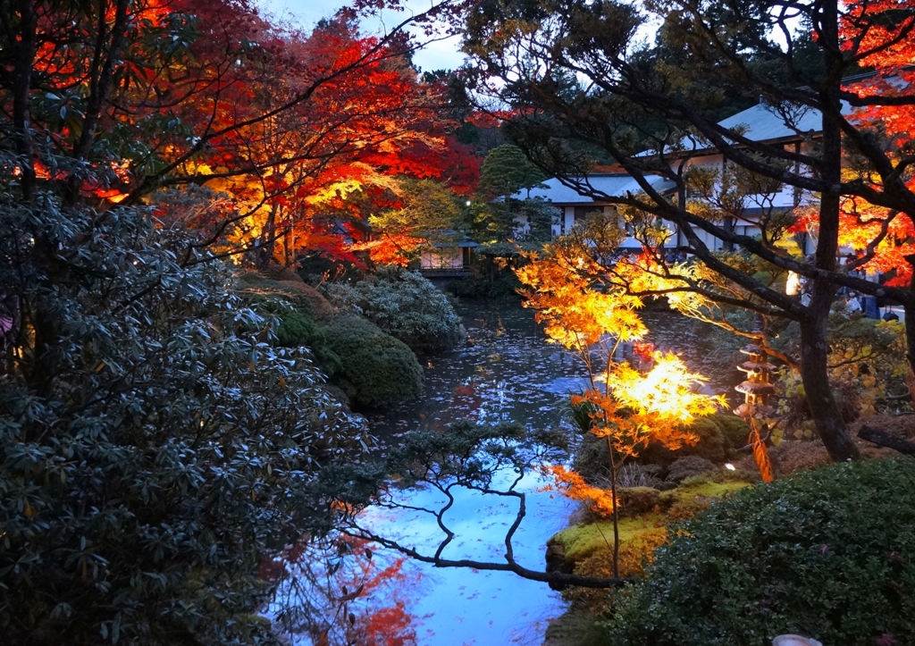 紅葉の池