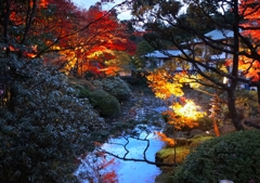 紅葉の池
