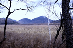 Divine moor