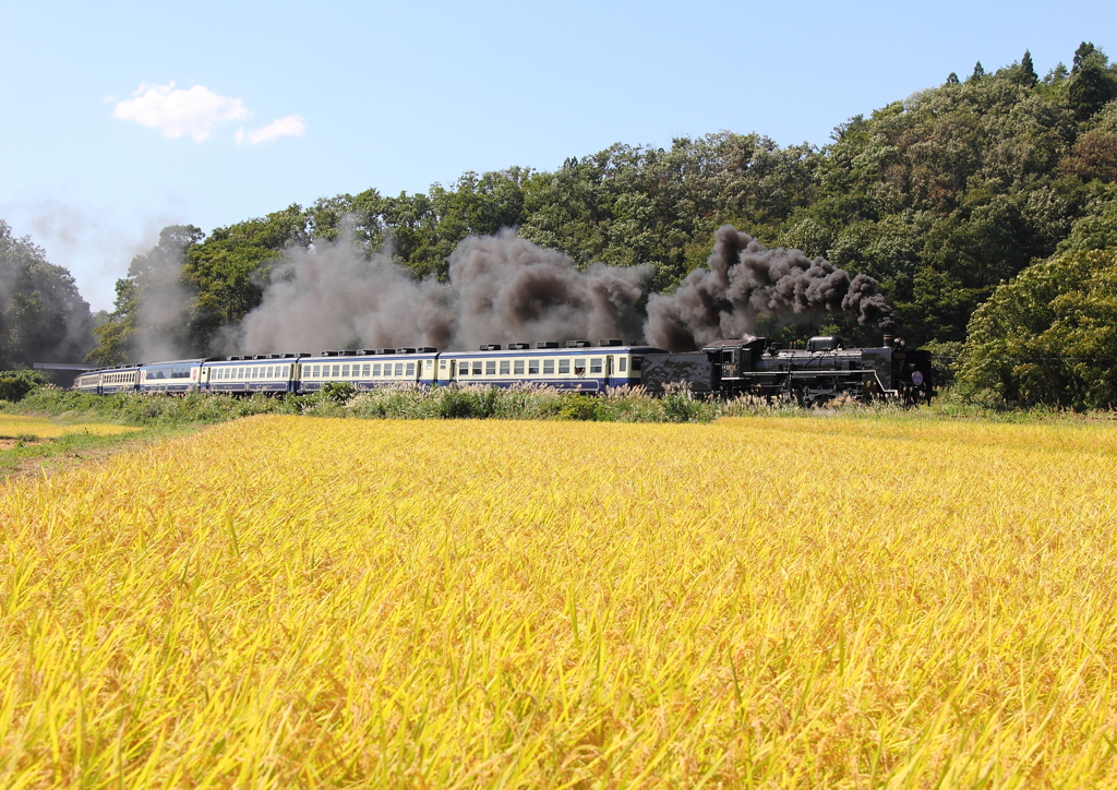 ＳＬばんえつ物語号