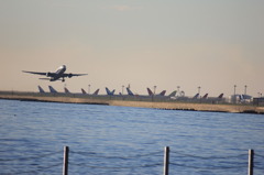 Landing