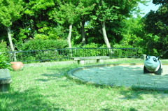 お散歩写真