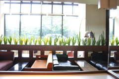 cafe