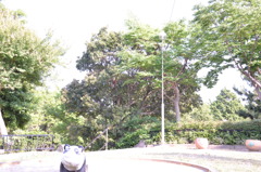 お散歩写真