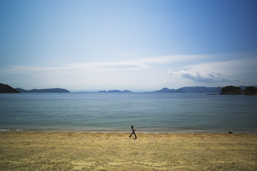 初夏の日