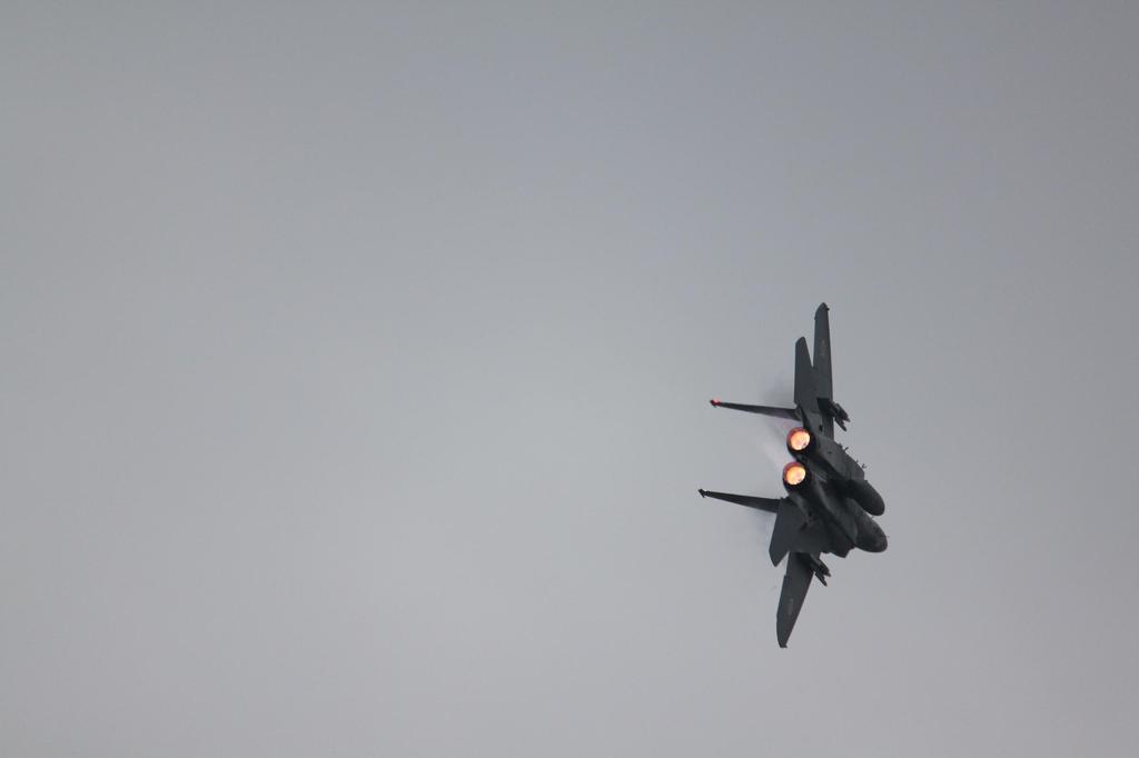 F15