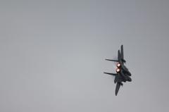 F15