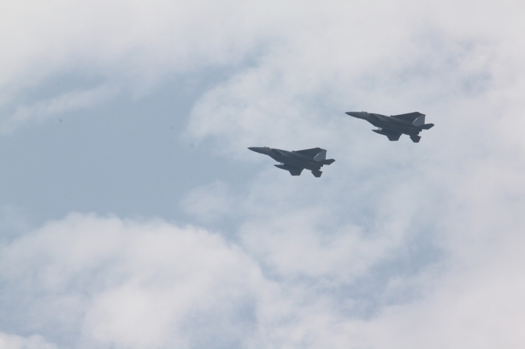 041f-15ZZ