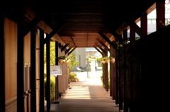 アルジェント廊下