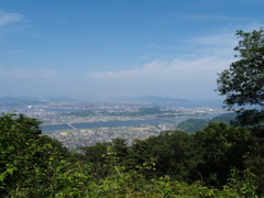 グリーンライン