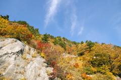 白山スーパー林道