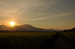 よき日本の夕焼け