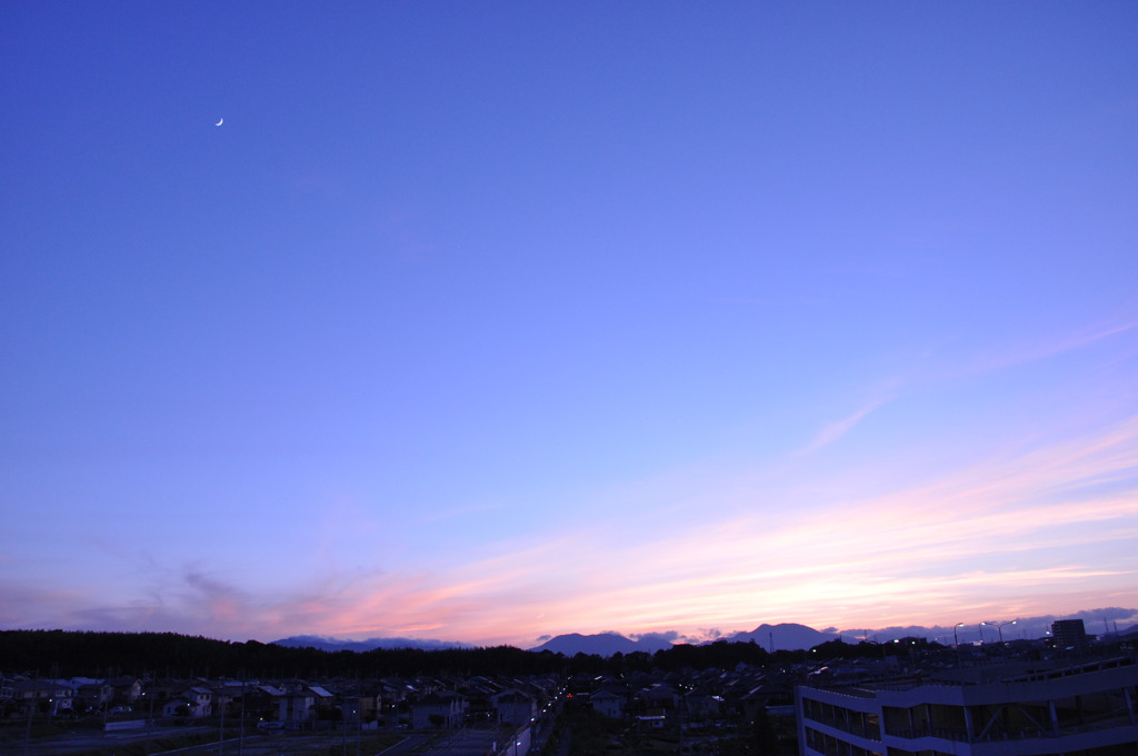 青