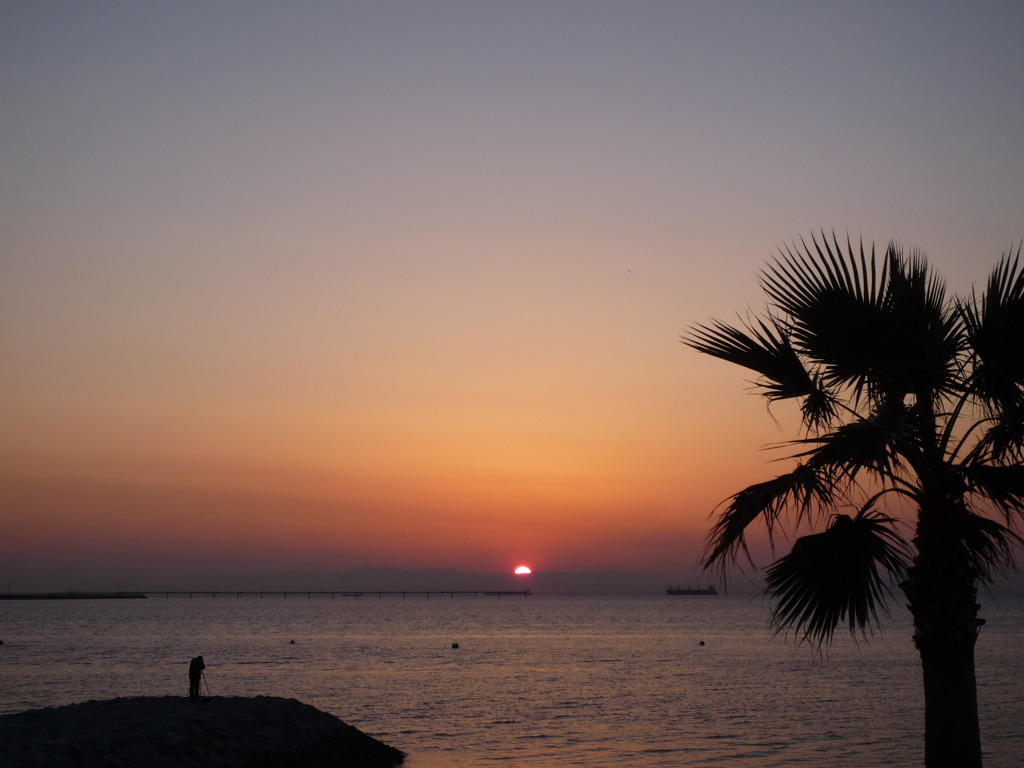 夕景
