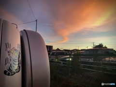猫と夕焼け雲