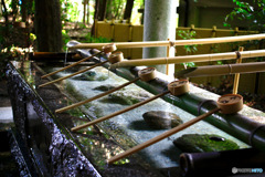 手水　心地よい