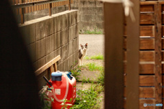 視線を感じる