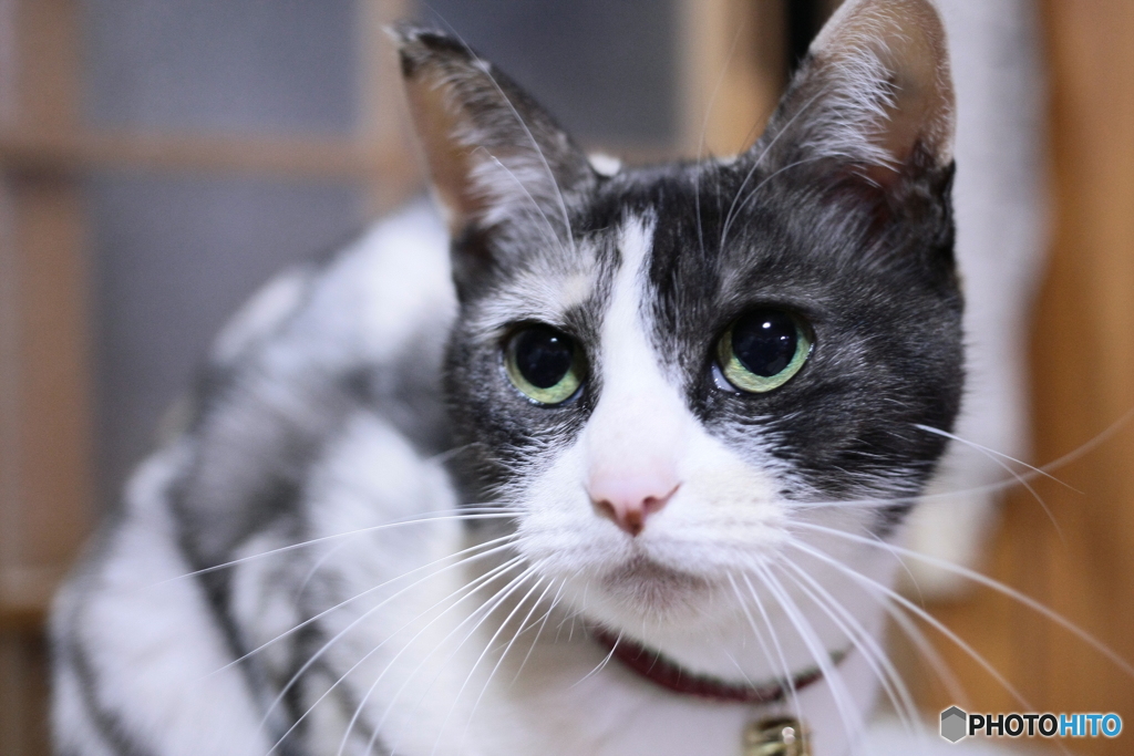 身美たん大好き