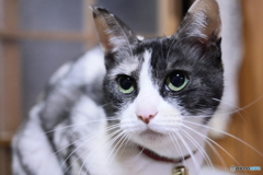 身美たん大好き