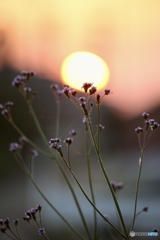 晴れた日の夕暮れ