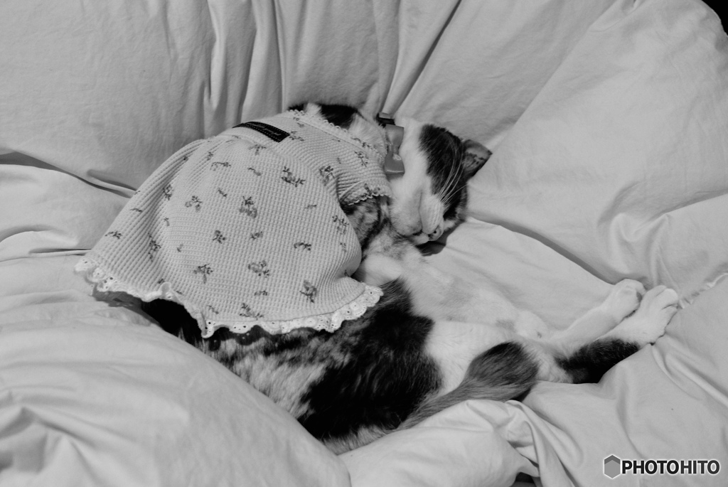 ドレスを着て寝る女