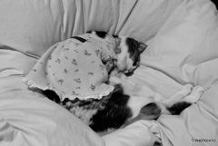 ドレスを着て寝る女