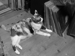 外は猛暑