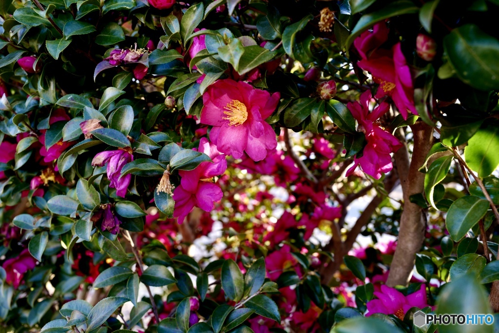 向う側への入口