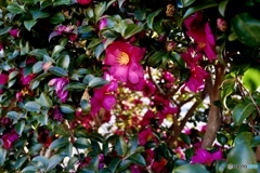 向う側への入口