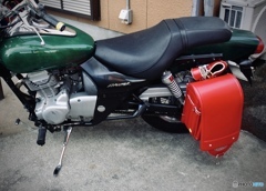 GREEN & RED