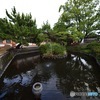 全景撮る
