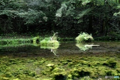 水鏡