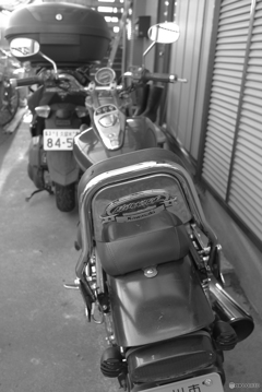 純正は希少品でした