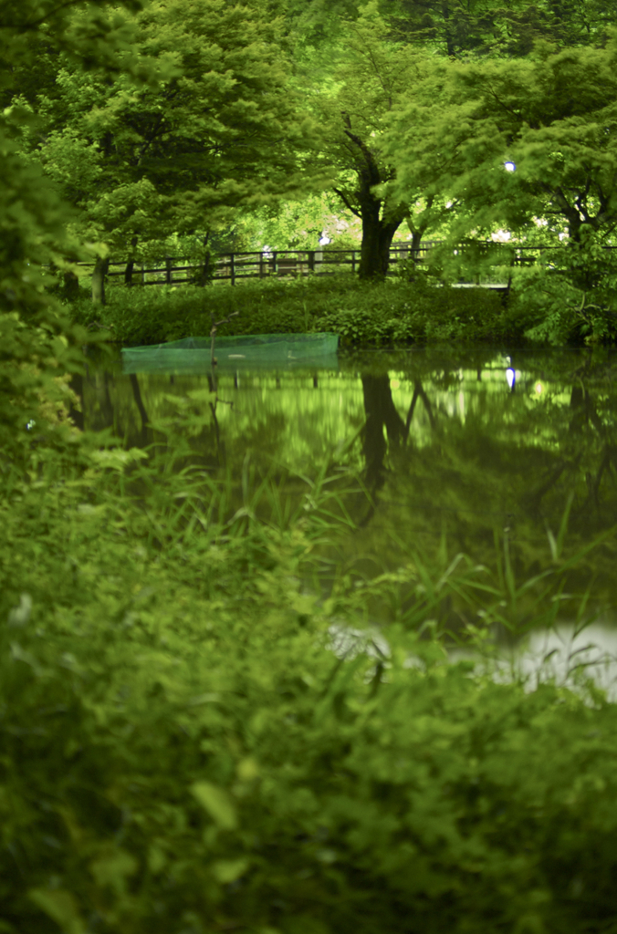 Hikaru- mori