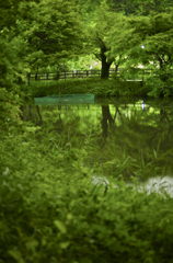 Hikaru- mori