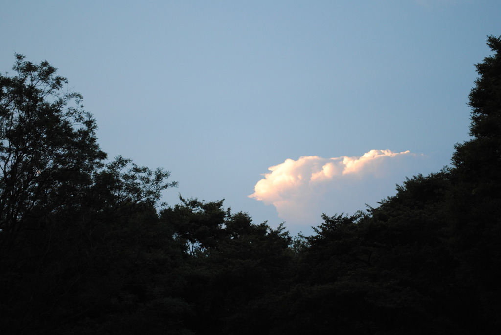 雲