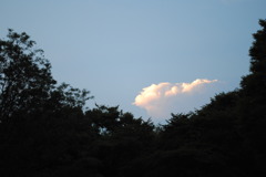 雲