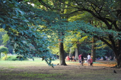 代々木公園