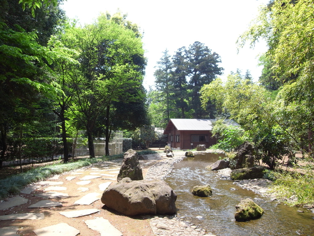 公園