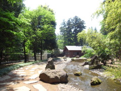 公園