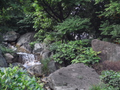流れ