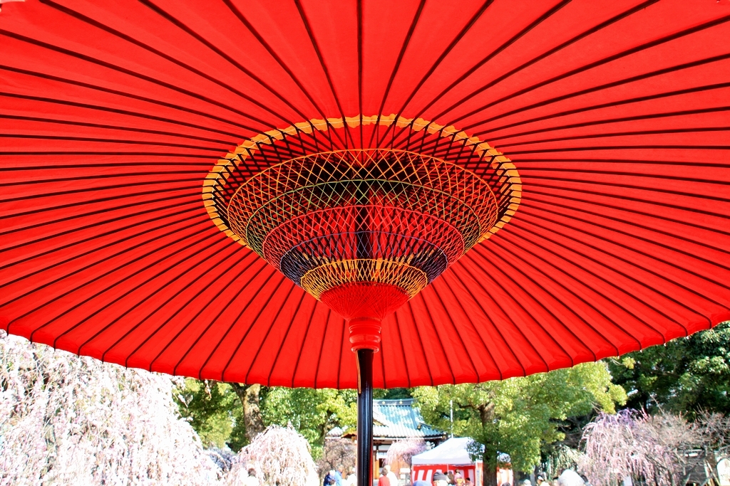 野点
