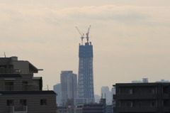 スカイツリー　その２